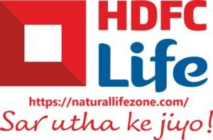 HDFC Life Share