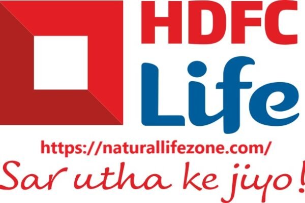 HDFC Life Share