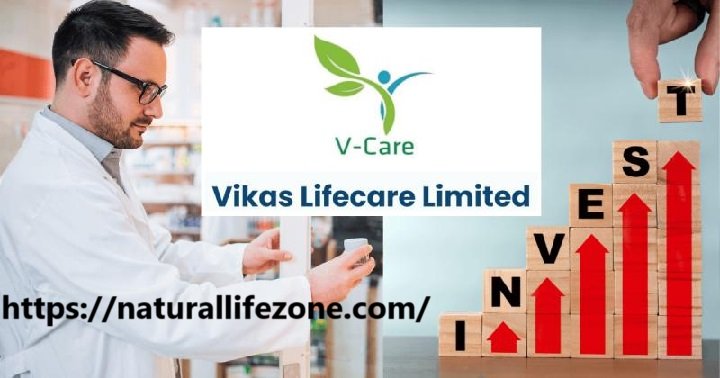 Vikas Life Share Price